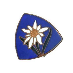 Vintage A. AUGIS Lyon, France Edelweiss Flower Enamel Cloisonné Pin Brooch